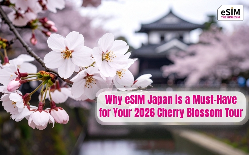 Why eSIM Japan is a Must-Have for Your 2026 Cherry Blossom Tour